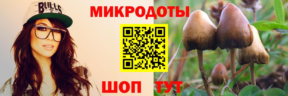 Галлюциногенные грибы Psilocybine cubensis  наркотики  Дзержинский  Вход с VPN  Псилоцибиновые грибы Cubensis 
